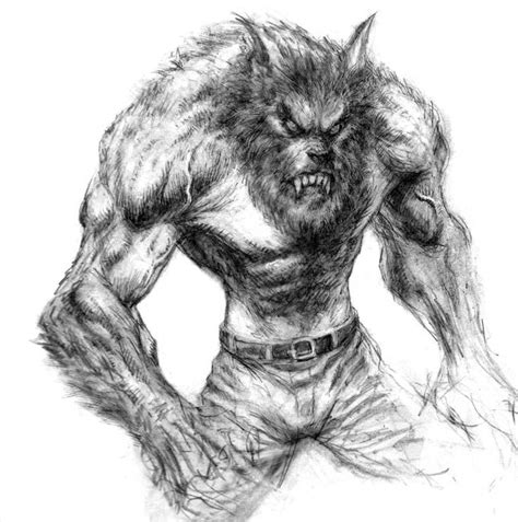 Werewoolf By Arjorda On Deviantart Werewolf Art Werewolf Drawing Werewolf