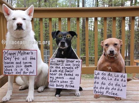 Janie Junebug Righting And Editing And Now Happy Moms Day From The Dogs