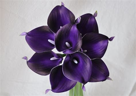 Check spelling or type a new query. 9pcs Eggplant Dark Purple Real Touch Artificial Calla ...