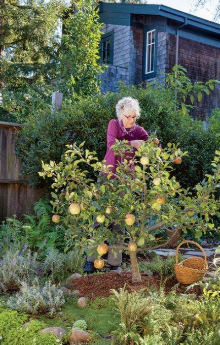 25 Ideas Tree Garden Design Small Spaces For 2019 Fruit Tree Garden