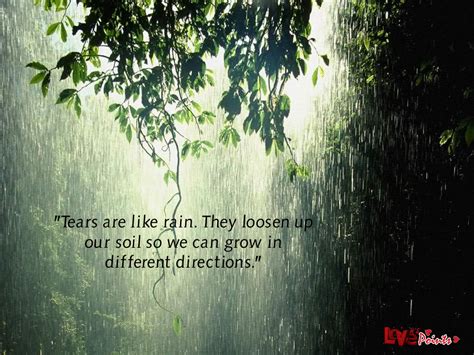 Best Rain Quotes Quotesgram