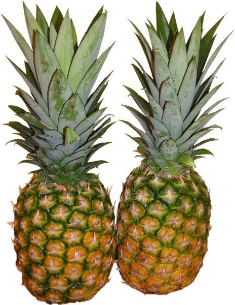 Licznik kalorii umożliwia komponowanie codziennego planu posiłków. Ananas | Wartości odżywcze, właściwości, tabela kalorii