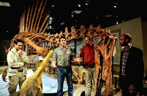 Washington D C An Exhibition Spinosaurus Lost Giant Of The Cretaceous