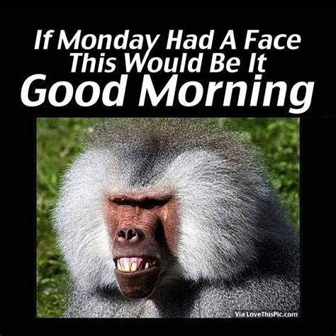 If Monday Had A Face This Would Be It Good Morning Happy Monday