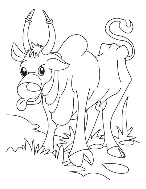 Domestic Animals Coloring Pages - Coloring Home