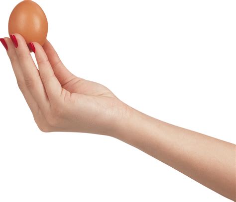 We did not find results for: Download Egg In Hand Png Image HQ PNG Image in different ...