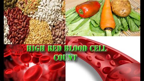 High Red Blood Cell Count │how To High Red Blood Cell Count Youtube