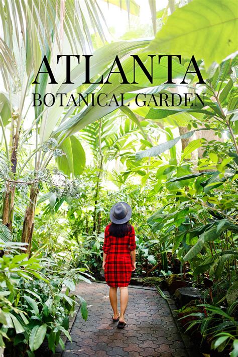 I recently went to the atlanta botanical garden with minimal expectations and was blown away by the beauty and size of this garden oasis in midtown atlanta. Chihuly in the Garden at the Atlanta Botanical Garden