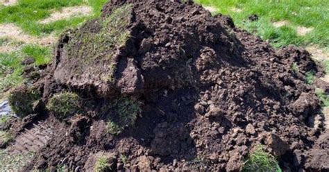 Yard Waste Pick Up For Free In Woodbury MN Finds Nextdoor