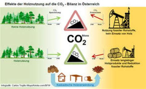 The rest can be explored via the navigation menu at the top of this page. Aktiver Klimaschutz: Holz gezielt nutzen und Emissionen ...