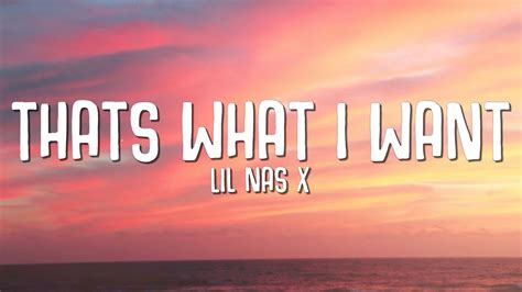 Lil Nas X Thats What I Want Lyrics The Vibe Guide Thewikihow
