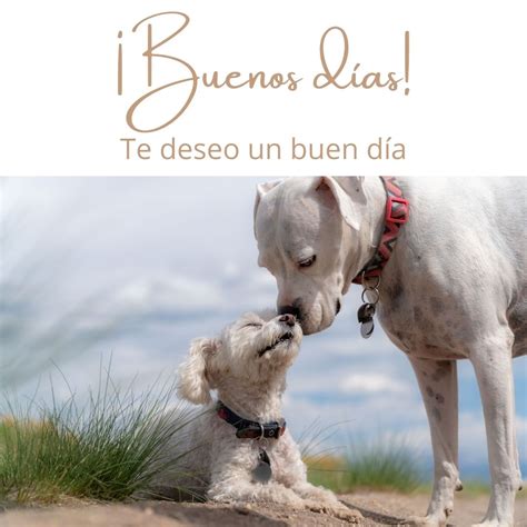 Buenos D As Perritos Fotos De Perros Para Whatsapp Gratis