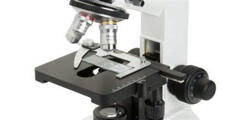 Celestron Labs CB C Compound Binocular Microscope