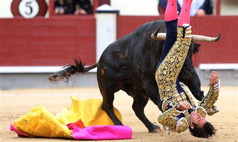 Spains San Isidro Bullfighting Festival Suspended After Three Matadors
