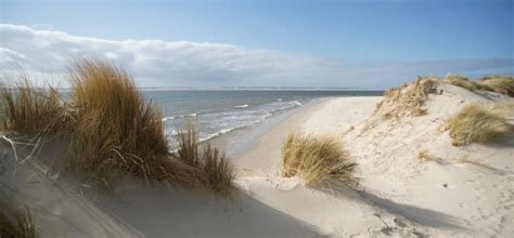 Unser ziel ist es, verständnis und faszination für das wattenmeer zu wecken. Das Wattenmeer stellt sich vor