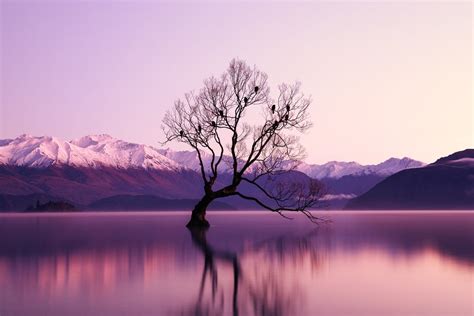 30000 Best Lake Photos · 100 Free Download · Pexels Stock Photos