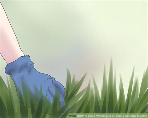Maybe you would like to learn more about one of these? 3 Ways to Keep Weeds Out of Your Vegetable Garden - wikiHow