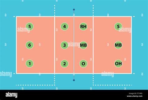 Volleyball Positions On Court