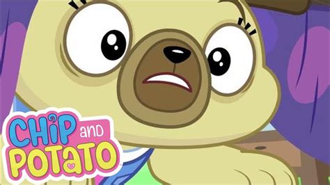 Chip And Potato Where Is Spuds Homework Cartoons For Kids Youtube