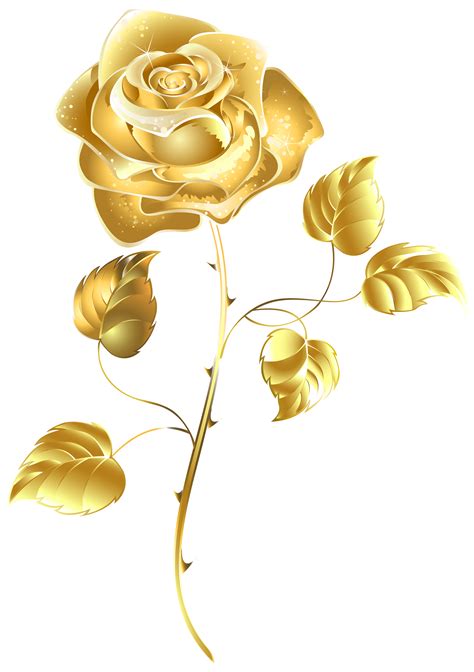 He is able to take a short look at her before she can escape and immediately falls in love with the unknown beauty. Golden Rose Transparent Image | PNG Arts