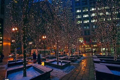 One must feel it, to explain there own. Miniature Lights Festoon Trees in Downtown Chicago at Night