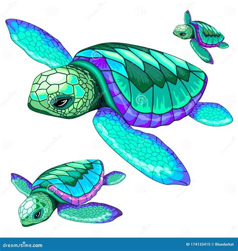 Sea Turtles Dance Oceanlife Vector Illustration Stock Vector