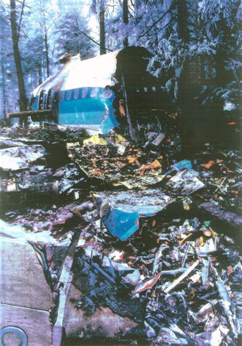 Crash Of An Airbus A320 111 On Mt Sainte Odile 87 Killed Bureau Of