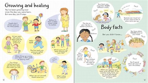 Look Inside Your Body Usborne Childrens Book