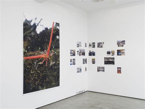 Wolfgang Tillmans Exhibition View Ground Floor Gallery Maureen Paley