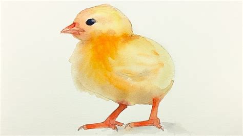 Relaxing Watercolor How To Draw And Paint A Baby Chick For Beginners
