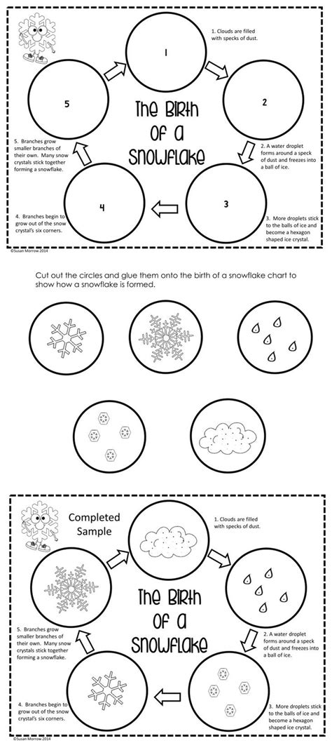 Life Cycle Of A Snowflake Worksheet