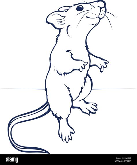 Mouse Standing Up Drawing Lineartdrawingsplantsface