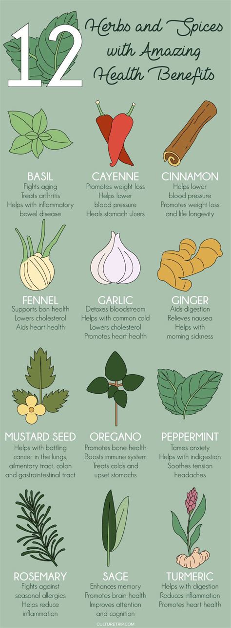 The Amazing Health Benefits Of Herbs And Spices Pinterest