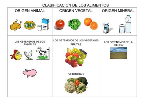 Alimentos De Origen Animal Vegetal Y Mineral | Origen Alimentos, Tema ...