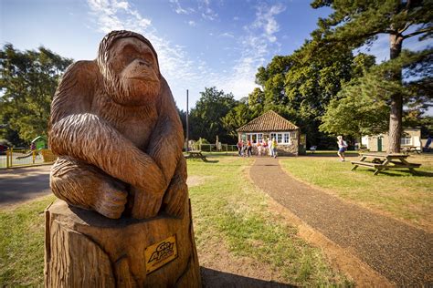 Go Ape Normanby Hall Visit North Lincolnshire
