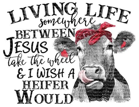 Living Life Somewhere Between Jesus Take The Wheel And I Wish A Heifer W