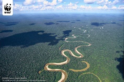 Inilah daftar mengenai 50 sungai terpanjang di benua asia beserta panjang aliran sungai dan letak negaranya. 10 Sungai Terpanjang Di Dunia - RAIH STAR BLOG