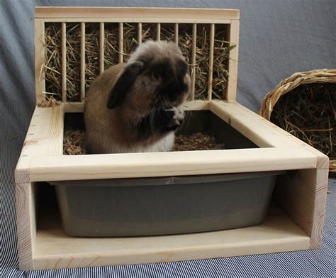 Bunny Rabbit Hay Feeder And Litter Box Etsy
