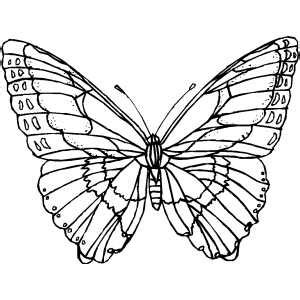 Butterfly colored gem wings 02 vector. Butterfly Wings Coloring Pages at GetColorings.com | Free ...