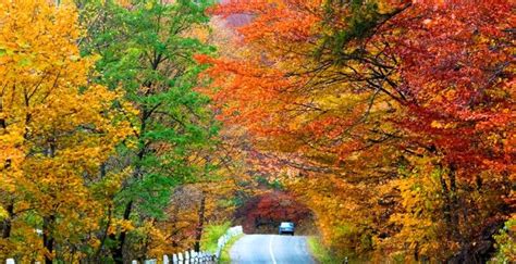 5 / 5 175 мнений. été indien (avec images) | Parcours canada, Couleur automne