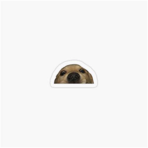Doggo Sticker For Sale By Carolinepvoigt Redbubble