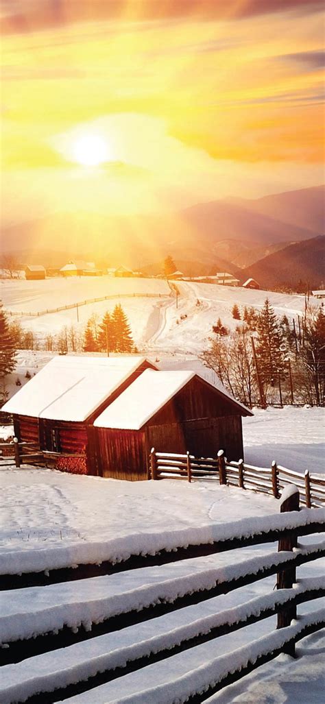 Sunset On Winter Time 1080×2340 Webrfree