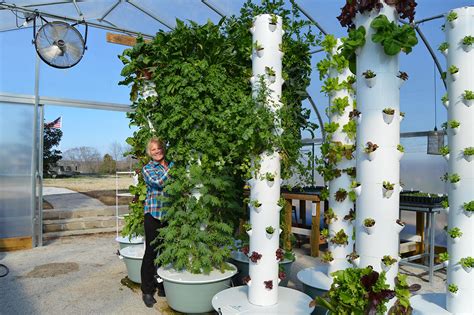 Vertical Farming Brings Futuristic Growing Methods To Middle