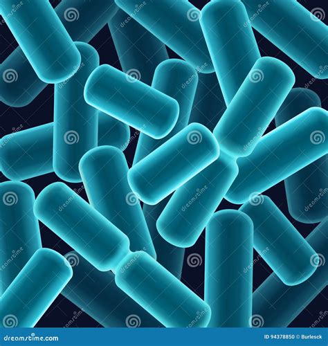 Rod Shaped Bacilli Bacteria Stock Vector Illustration Of Infection