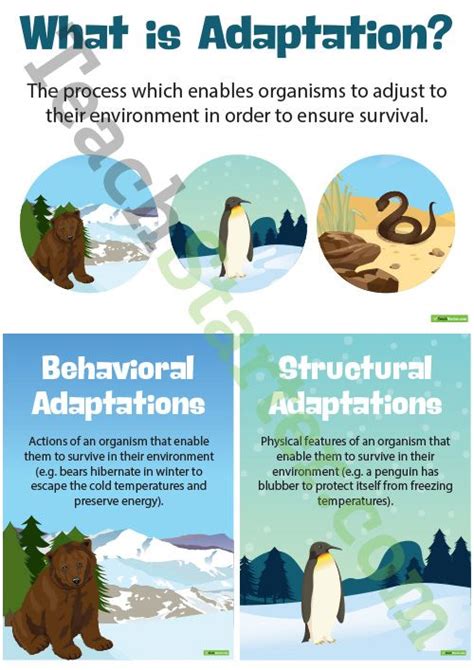 This is a modal window. Behavioural, Structural and Physiological Adaptations ...