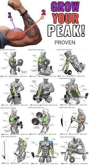 Build Mountain Like Biceps Peaks With These 3 Exercises Fitness And