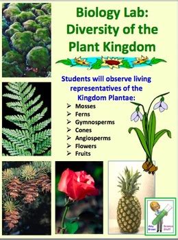 Search for hundreds of cacti and learn key information about each including photos, sun needs, water needs, hardiness zones, soil ph and so much more. Plants: Diversity of the Plant Kingdom (A Living Plant Lab ...