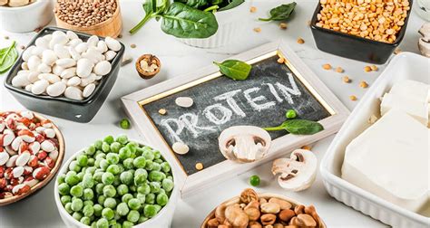 Gfi india transforms the food industry from the inside out by helping food processing, biotech, restaurant, grocery, and distribution companies plan for a future of smart protein offerings. Growth in vegetarian population to drive the Plant-based ...
