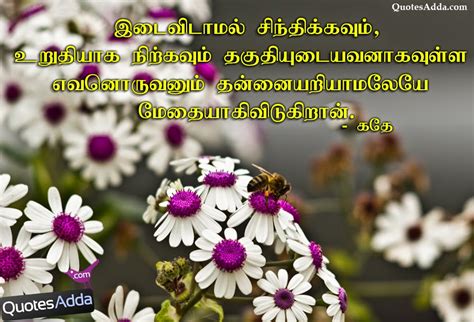 There is no force more powerful than a woman determined to rise. Tamil Quotes About Beauty. QuotesGram