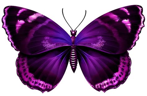 Image Result For Purple Butterflies Butterfly Clip Art Butterfly